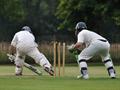 Stumping by Goose.jpg